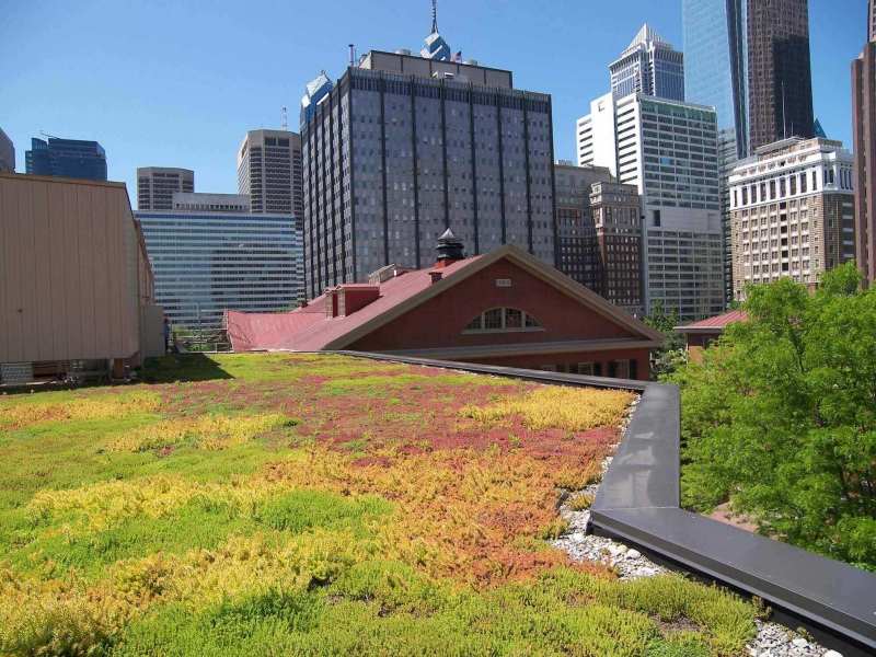 paysagiste-ST LAURENT DU VAR-min_green-roof-portfolio-4